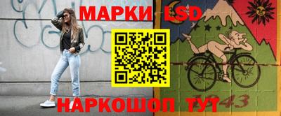 стафф Заводоуковск