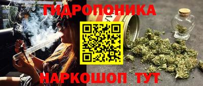 дмт Заволжье