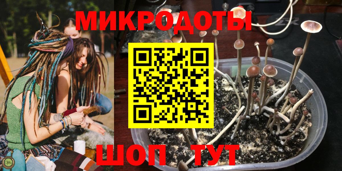 Галлюциногенные грибы мицелий  Псилоцибиновые грибы Magic Shrooms  Елизово  Вход с VPN 