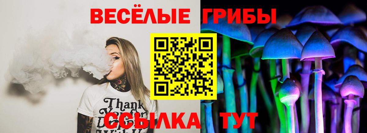 Псилоцибиновые грибы прущие грибы Елизово